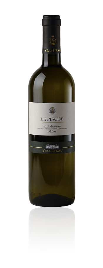 vini-piagge